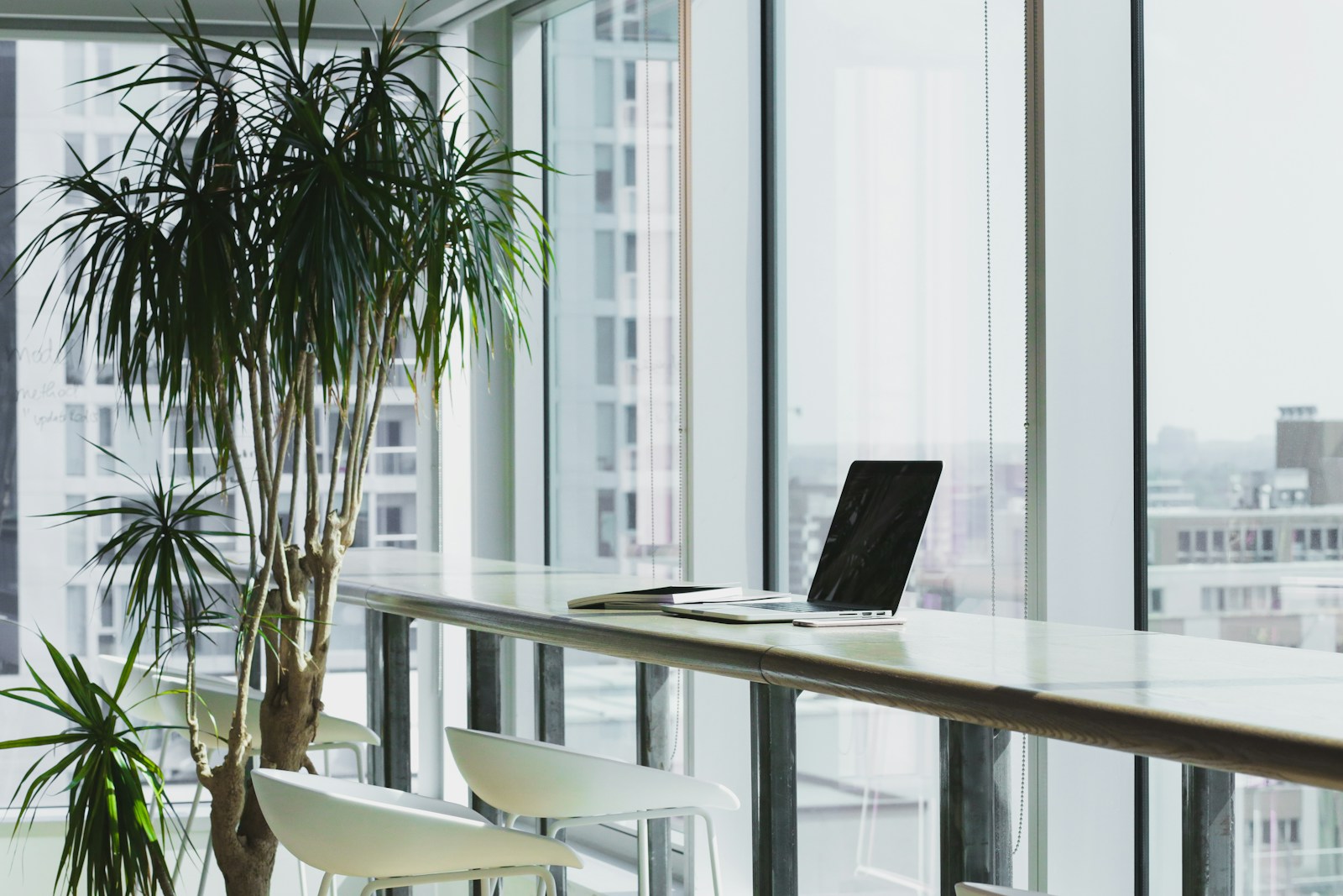From Garage to Growth: How Entrepreneurs Are Rethinking Physical Space in the Digital Age