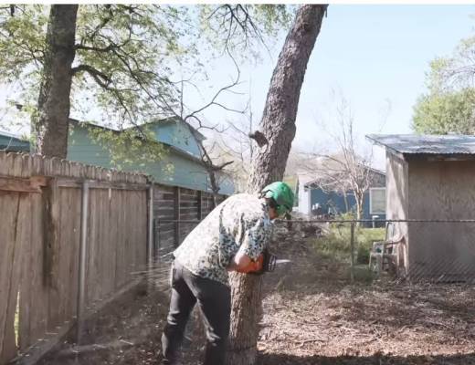 Tree Service Growth And Operational Insights