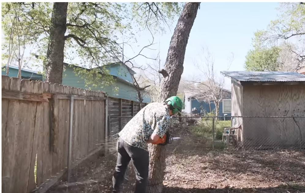Tree Service Growth And Operational Insights