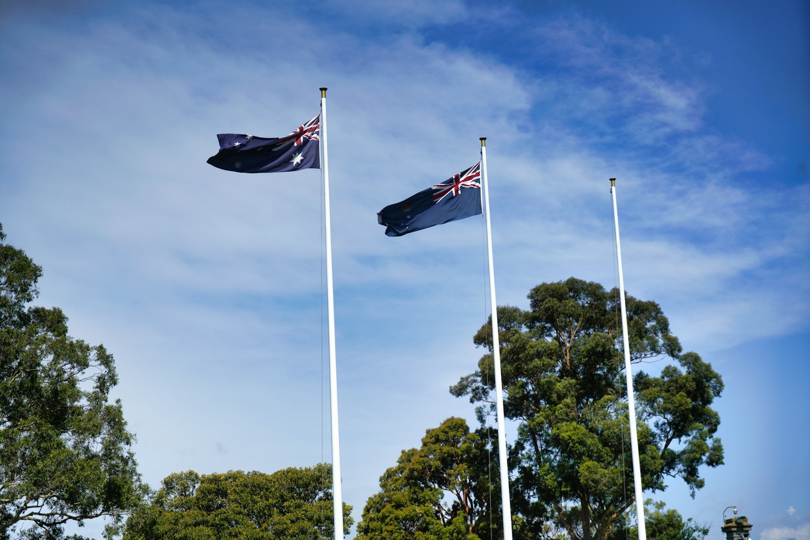 Australia Explores Framework for Cash Distribution Amid Digital Shift