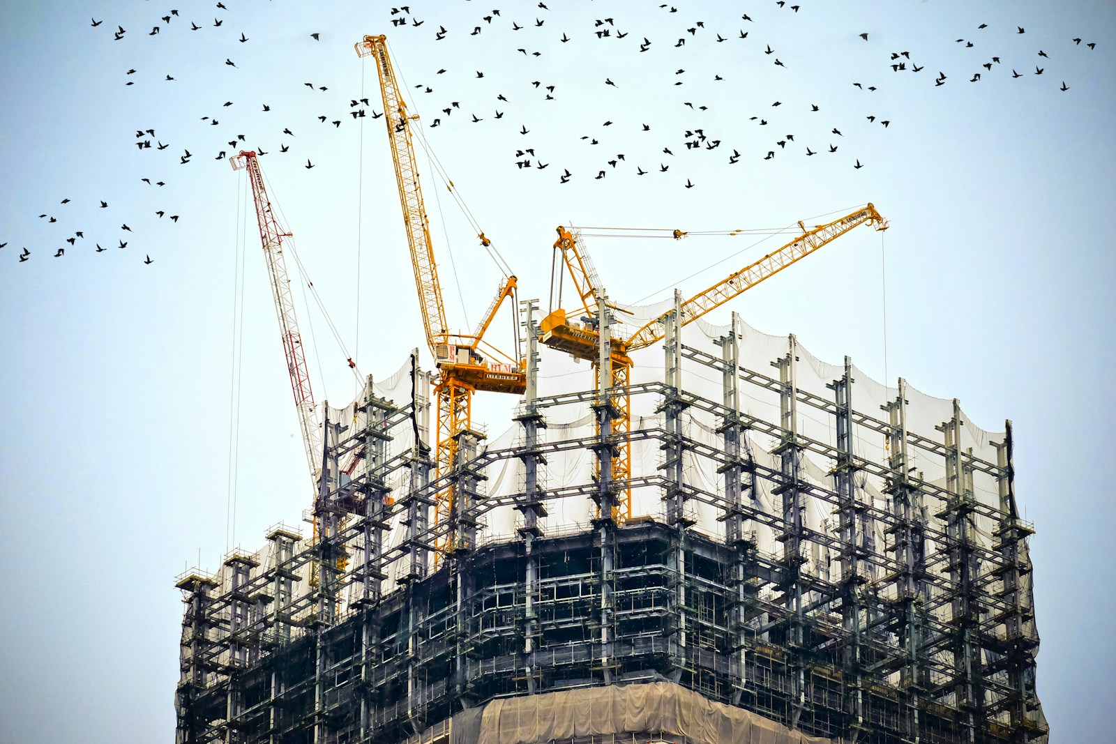 building operations
