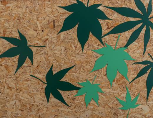 cannabis industry