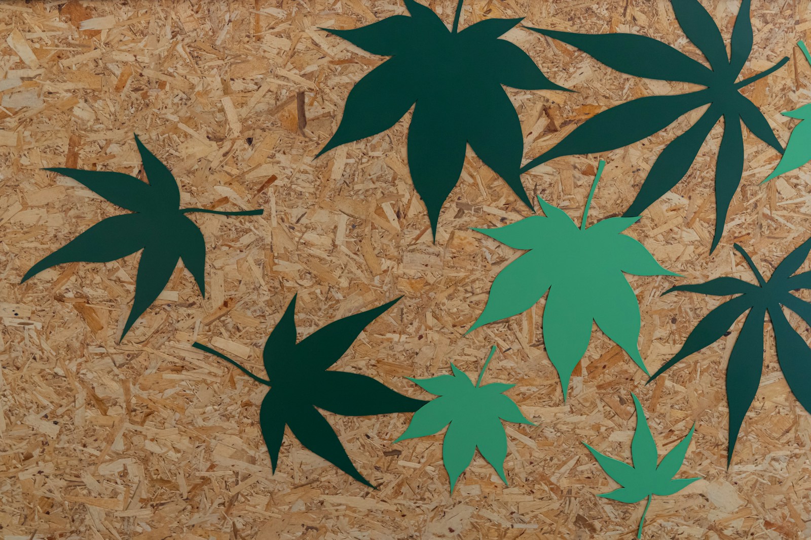 cannabis industry