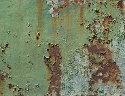 Mold-Infested Homes Saved My Financial Future