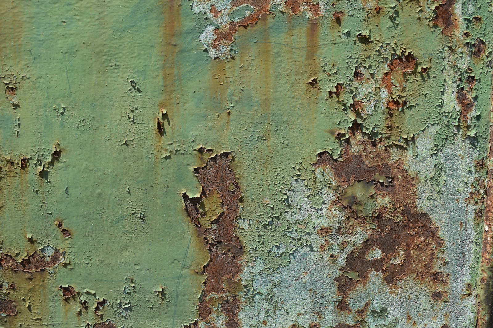 Mold-Infested Homes Saved My Financial Future