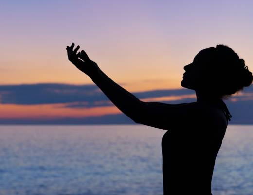 The Light System and a Possible Future for Holistic Wellness