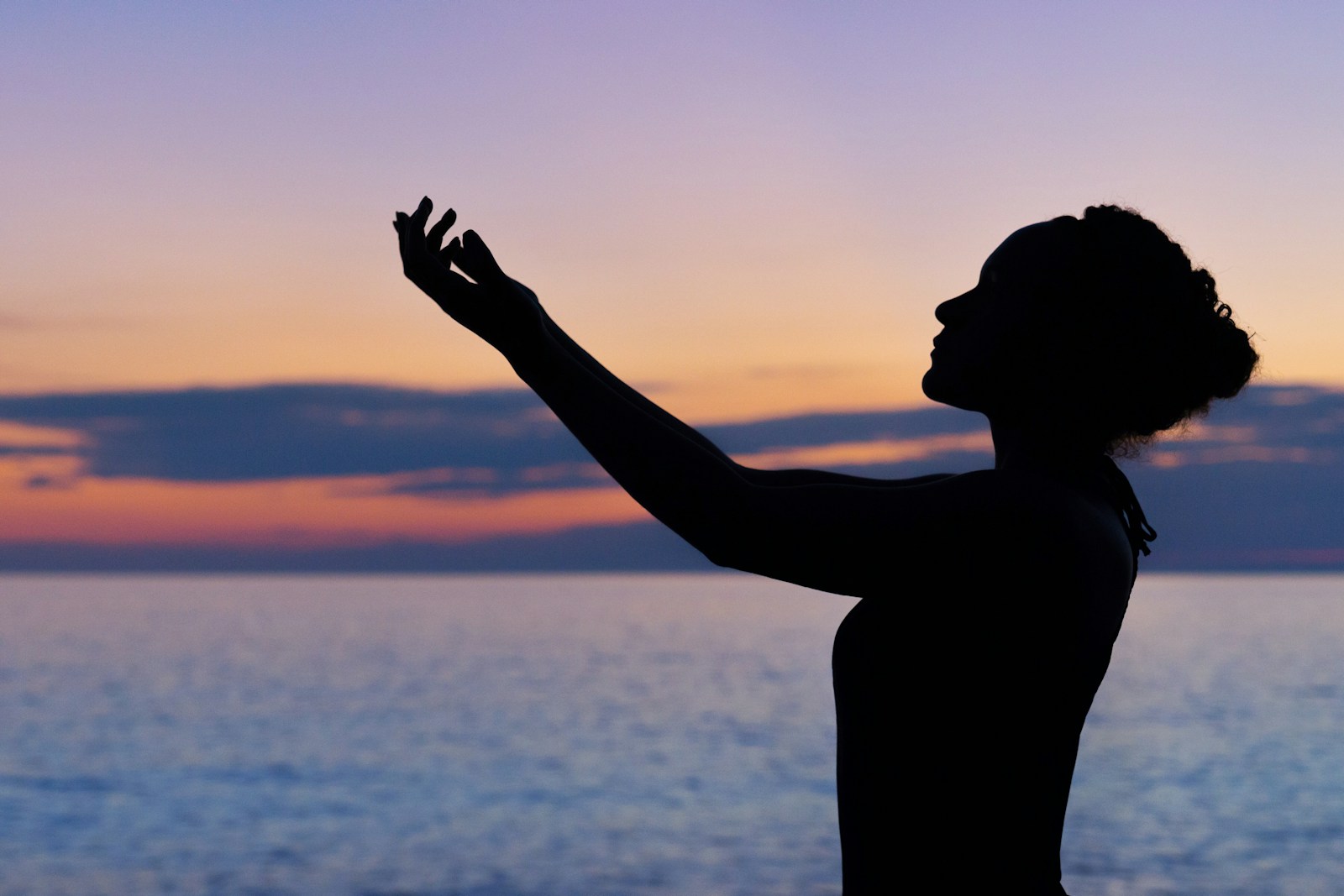 The Light System and a Possible Future for Holistic Wellness