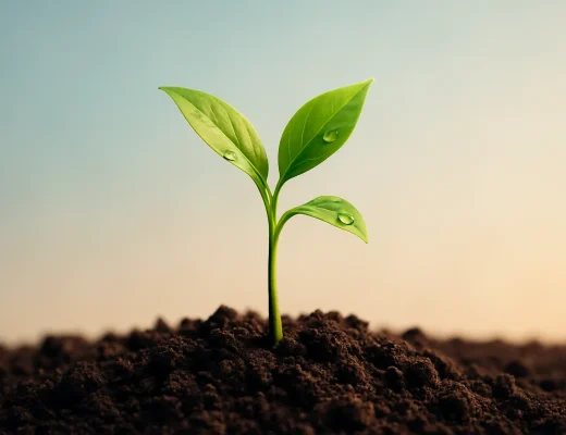 17 Actionable Steps to Build Your Personal Brand Today