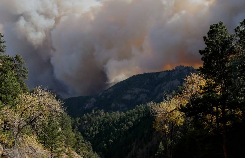 LA Wildfire Death Toll Rises to 16 as Crews Race Against Wind Threat
