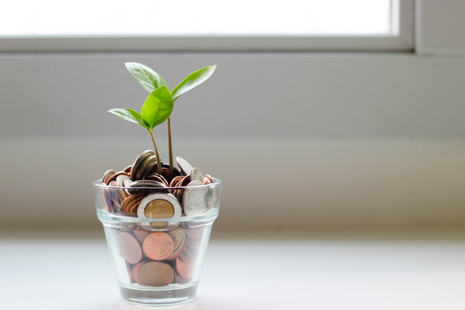 Financial Planning