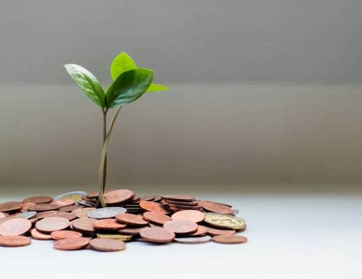 Financial Management