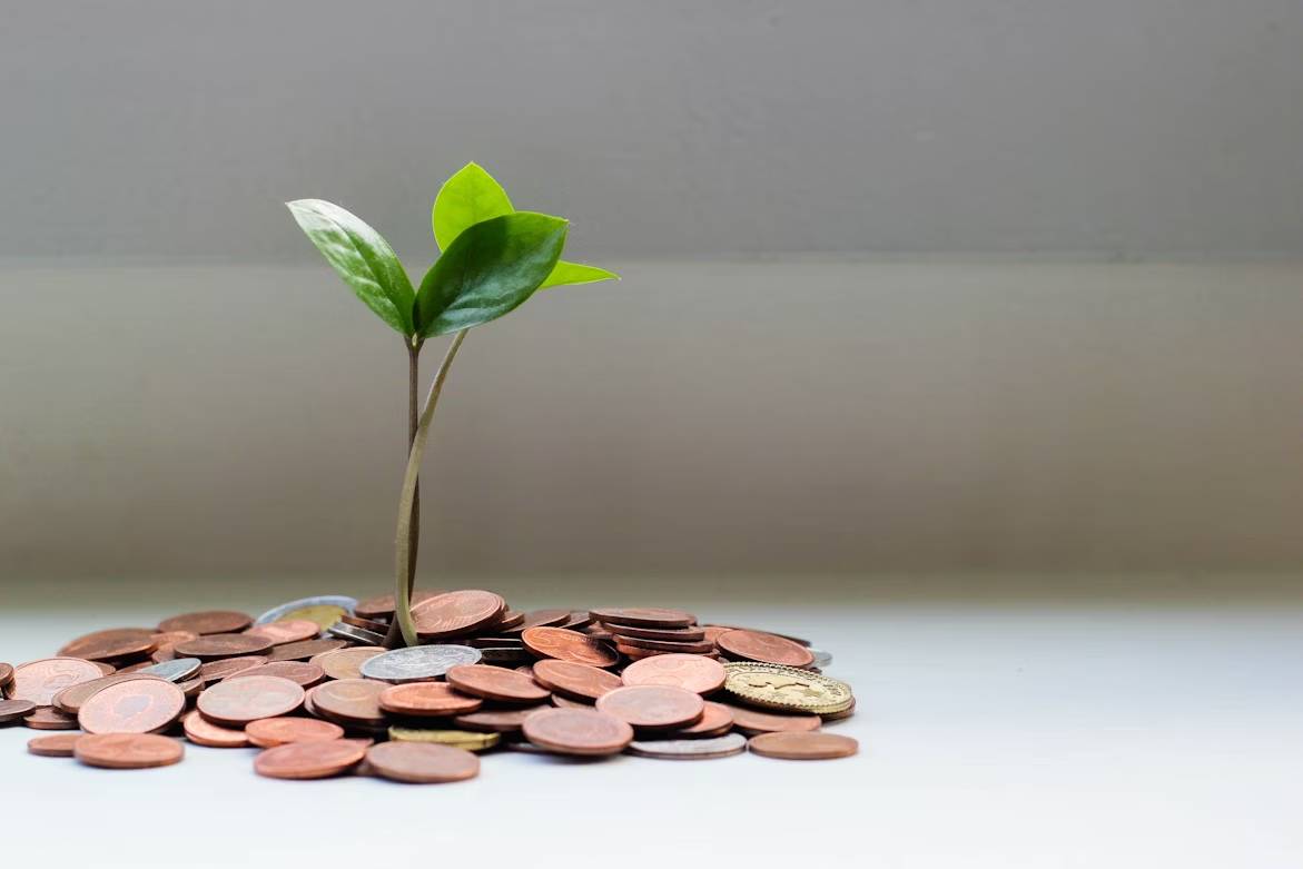 Financial Management