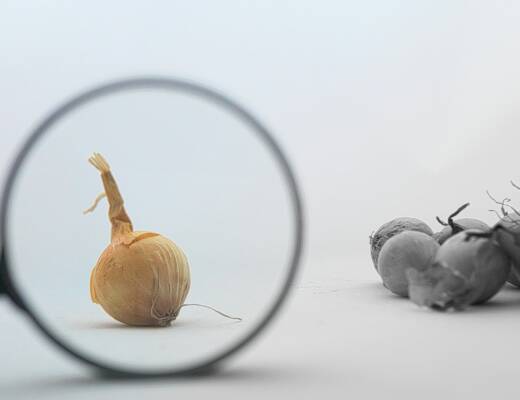 a close up of a magnifying glass with food; product