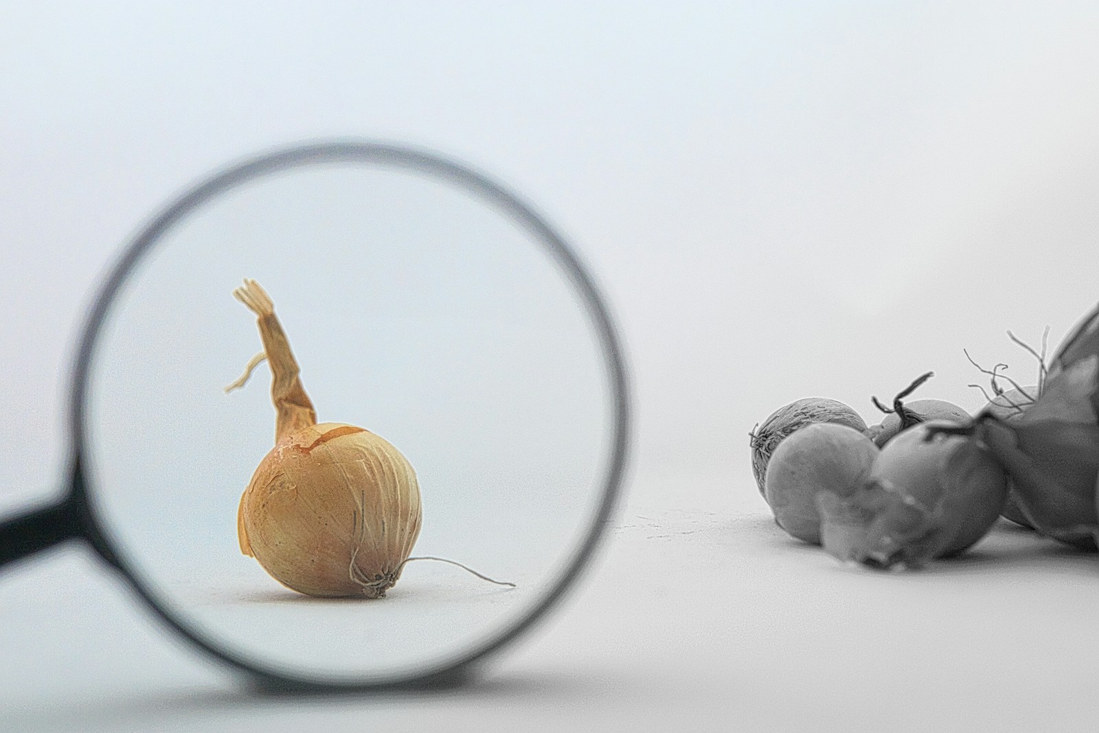 a close up of a magnifying glass with food; product