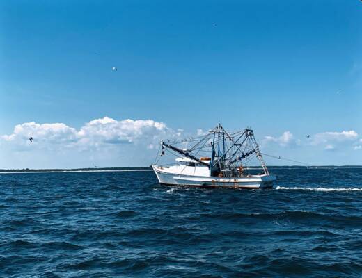 a boat sailing on the sea; shark fishing charters