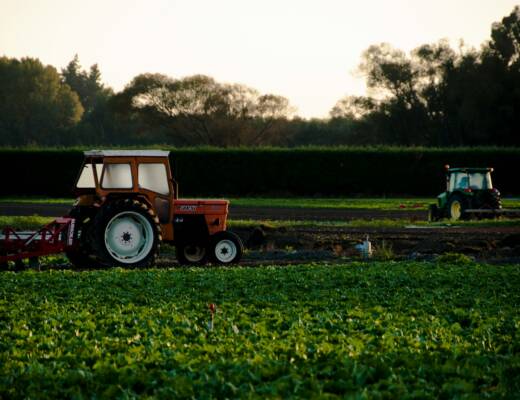 orange tractor plowing field; profitable home farming