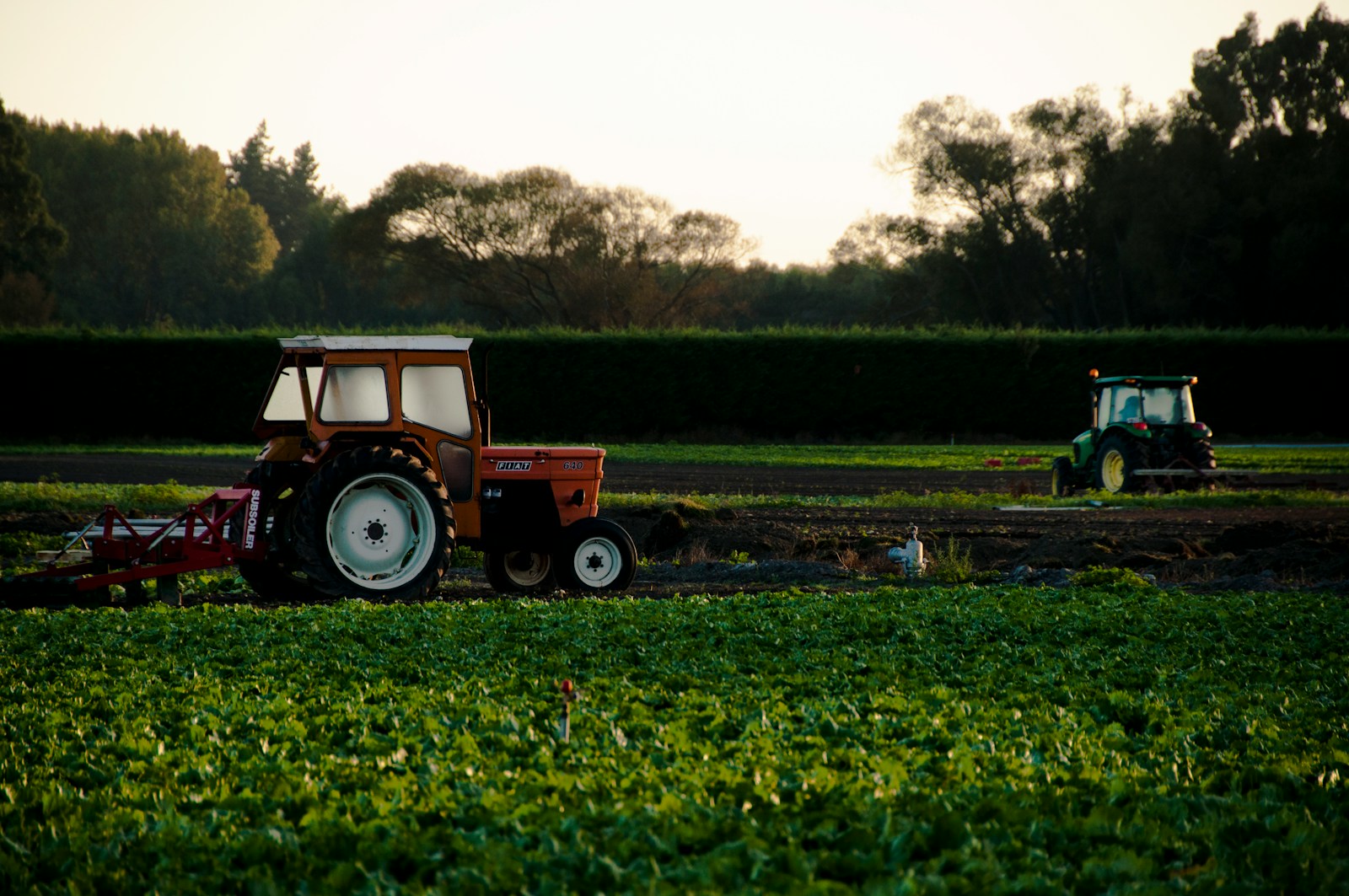 orange tractor plowing field; profitable home farming